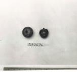 Click for 1 image(s) for this accession. FRUIT